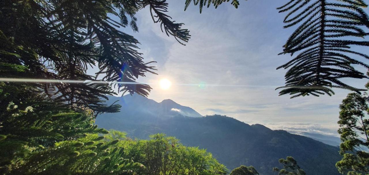 Mount Valley Resort - A Secluded Getaway Munnar Bagian luar foto